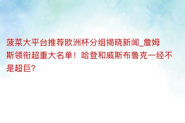 菠菜大平台推荐欧洲杯分组揭晓新闻_詹姆斯领衔超重大名单！哈登和威斯布鲁克一经不是超巨？